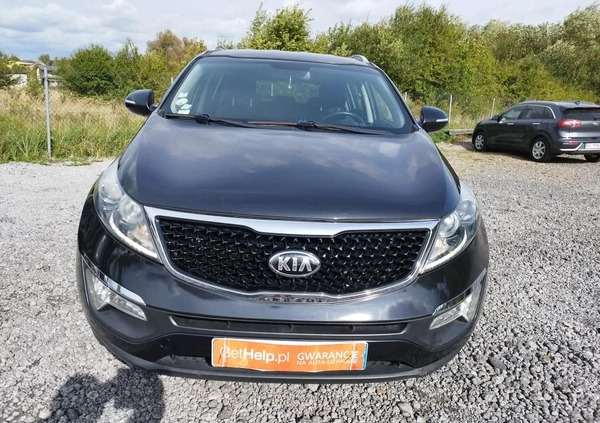 Kia Sportage cena 47900 przebieg: 191000, rok produkcji 2014 z Częstochowa małe 436